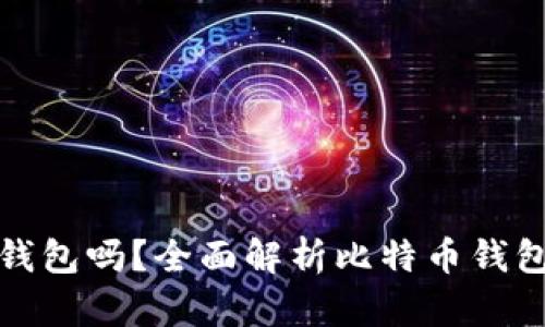 必须下载比特币钱包吗？全面解析比特币钱包的重要性与选择